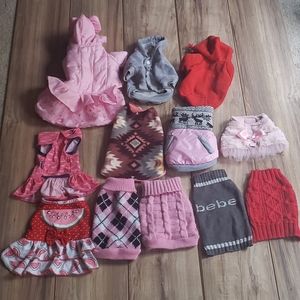 Bundle of Small Dog Clothes
